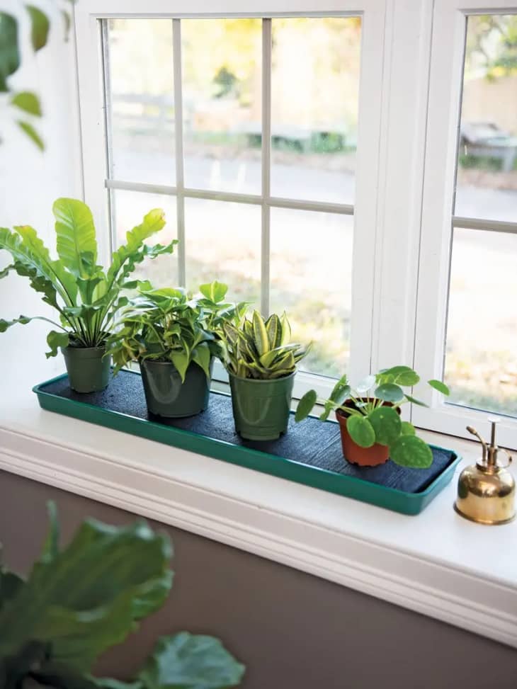 These Affordable Planter Trays Will Save Your Window Sills Apartment